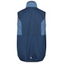 Gilet homme Regatta Lankin V
