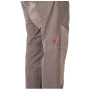 Pantalon homme Rafiki Ledge