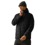 Veste matelassée pour homme Regatta Frankie Padded