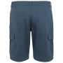 Shorts homme Regatta Ruwan Shorts