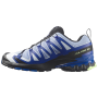 Chaussures homme Salomon Xa Pro 3D V9 Icon