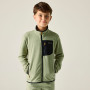 Sweatshirt enfant Regatta Junior Frankie F/Z Light Sage