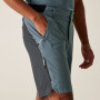 Shorts homme Regatta Eldes Shorts