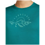T-shirt fonctionnel femme Icebreaker Women Merino 200 Oasis LS Crewe Sunrise Summit
