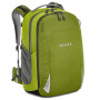 Couleur: vert