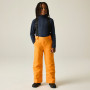 Pantalon de ski enfant Dare 2b Outmove III Insulated Pant ElectricOrng