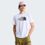 T-shirt homme The North Face Evolution Half Dome Regular Short Slee