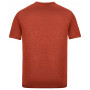 T-shirt homme Regatta Fingal Edition