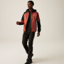 Veste homme Regatta Pro Hybrid
