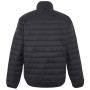 Veste homme Regatta Wentwood