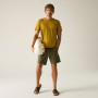 T-shirt homme Regatta Finlo