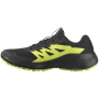 Chaussures de running hommes Salomon Alphaglide Gore-Tex