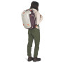 Sac à dos de voyage Osprey Transporter Travel Pack 36