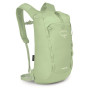 Couleur: vert clair