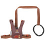 Laisse enfant LittleLife Toddler Reins Dinosaur