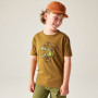 T-shirt enfant Dare 2b Trailbazer III Tee Dark Cumin