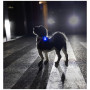 Lumière pour chien Curli Luumi Safety LED Lights rechargeable