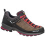 Chaussures femme Salewa Ws Mtn Trainer 2 Gtx brun