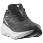 Chaussures de running hommes Salomon Aero Blaze 4