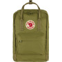 Sac à dos Fjällräven Kanken 15" vert foncé Foliage Green