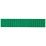 Sangle plate Beal Flat Tape Unie 26 mm green