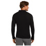 T-shirt fonctionnel homme Icebreaker M 175 Everyday LS Half Zip