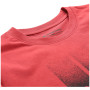 T-shirt homme Alpine Pro Bolen 2