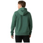 Sweat-shirt homme Helly Hansen Core Graphic Hoodie