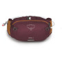 Sac banane Osprey Seral 4 violet aprium purple