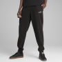 Pantalons de survêtement hommes Puma ESS 2 Color No. 1 Logo Sweatpants FL cl