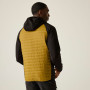 Veste homme Regatta Andreson Hybrid