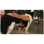 Vêtement pour chien Ruffwear Overcoat Fuse™ Insulated Vest