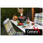 Gril Cattara Keg