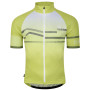 Maillot vélo homme Dare 2b AEPRevolvingSSJry jaune GreenAlgaWve