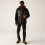 Veste homme Regatta Maland II
