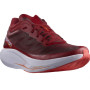 Chaussures de running hommes Salomon Phantasm