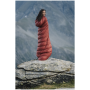 Sac de couchage en plumes Patizon D 890 L (186-200 cm)