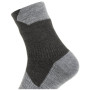 Chaussettes imperméables SealSkinz WP All Weather Ankle