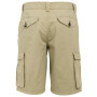 Shorts homme Regatta Shorebay Shorts II