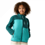Sweat enfant Regatta Junior Frankie Warm Fleece Mediterranea/Turquoise