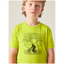 T-shirt enfant Dare 2b Amuse III Tee Frgle Sprout