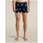 Caleçons fonctionnels homme Icebreaker Men M 150 Anatomica Boxers BearTourAOP