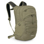Couleur: olive
