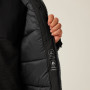 Veste homme Regatta Dallymoore