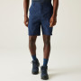 Shorts homme Regatta Dalry Short