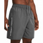 Shorts homme Under Armour Woven Wdmk Shorts