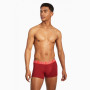 Caleçon homme Puma Basic Trunk 2P