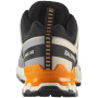 Chaussures homme Salomon Xa Pro 3D V9