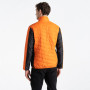 Veste homme Dare 2b Descending Jacket