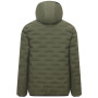 Veste matelassée pour homme Regatta Astrel